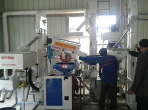 批發供應廠家直銷組合碾米機成套設備 價格、圖片與技術服務詳解