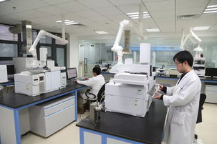 科技引領，服務賦能 以創新技術打響“上海制造”品牌，驅動集團高質量發展