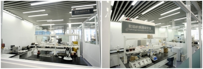 上海技術服務有限公司 專業驅動，智領未來